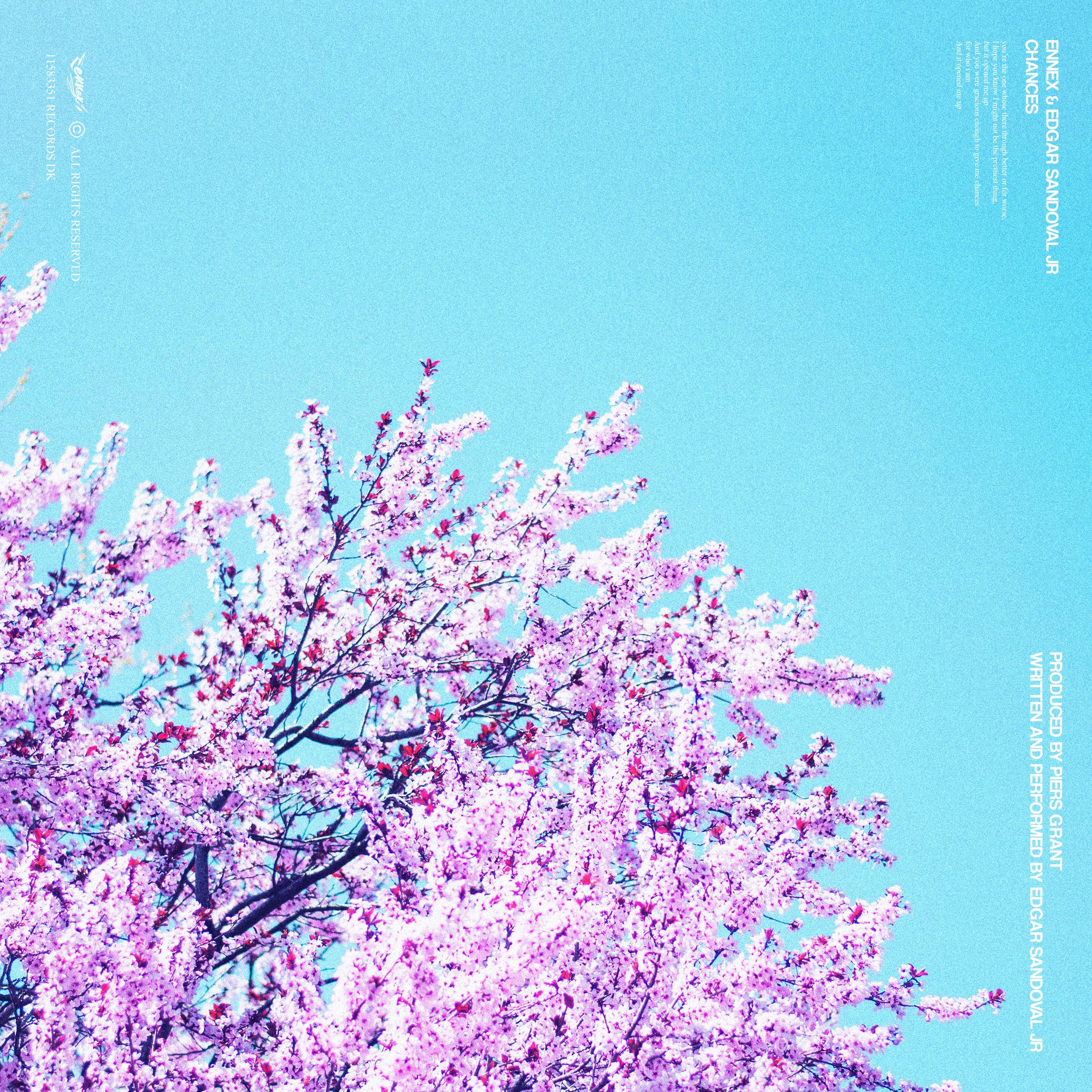 Chances (feat. Edgar Sandoval Jr)