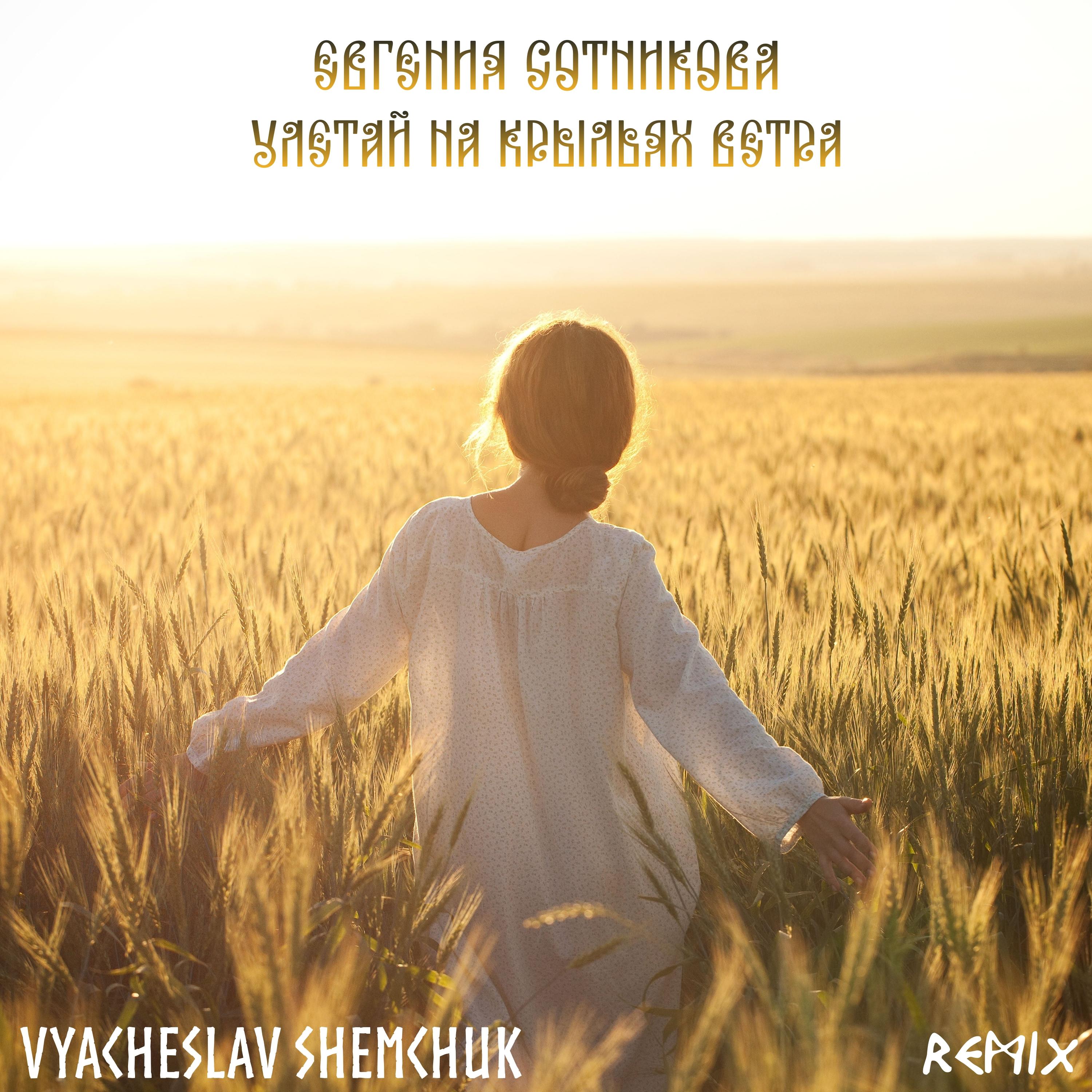 Улетай на крыльях ветра (Vyacheslav Shemchuk Remix)专辑