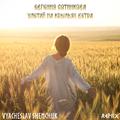 Улетай на крыльях ветра (Vyacheslav Shemchuk Remix)