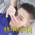 林中鸟