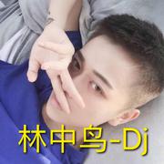 林中鸟