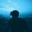 Kvetchmusic