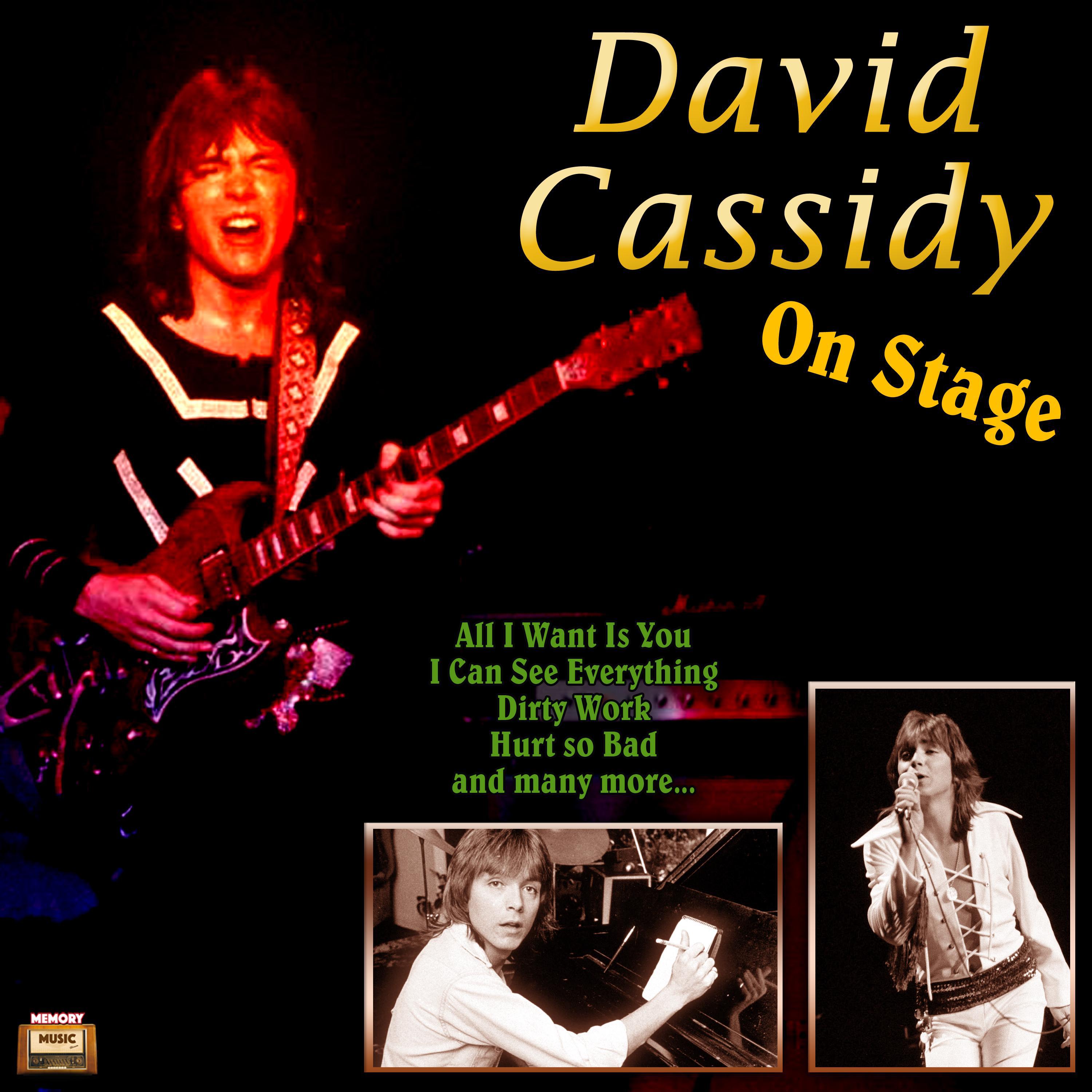 David Cassidy - I Never Saw You Coming