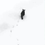 少说爱