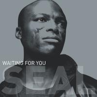 Seal - Waiting For You ( Karaoke )