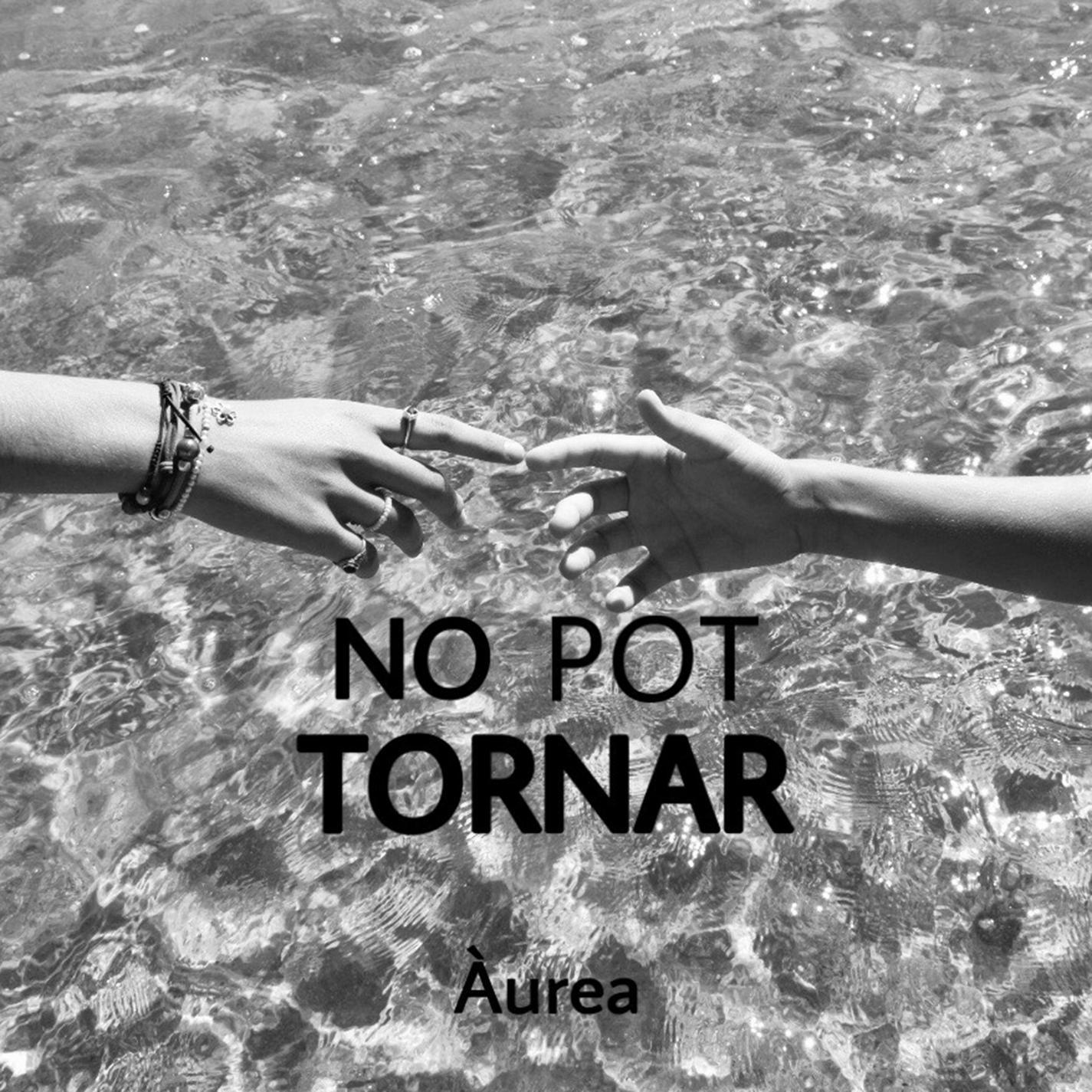 No pot tornar