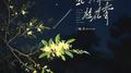 风吹来 桂花香专辑