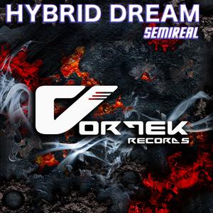 HYBRID DREAM 【Instrumental】 （升2半音）