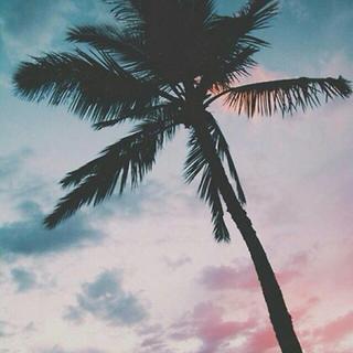 【中文hiphop】 ◍国产冷门嘻哈◍