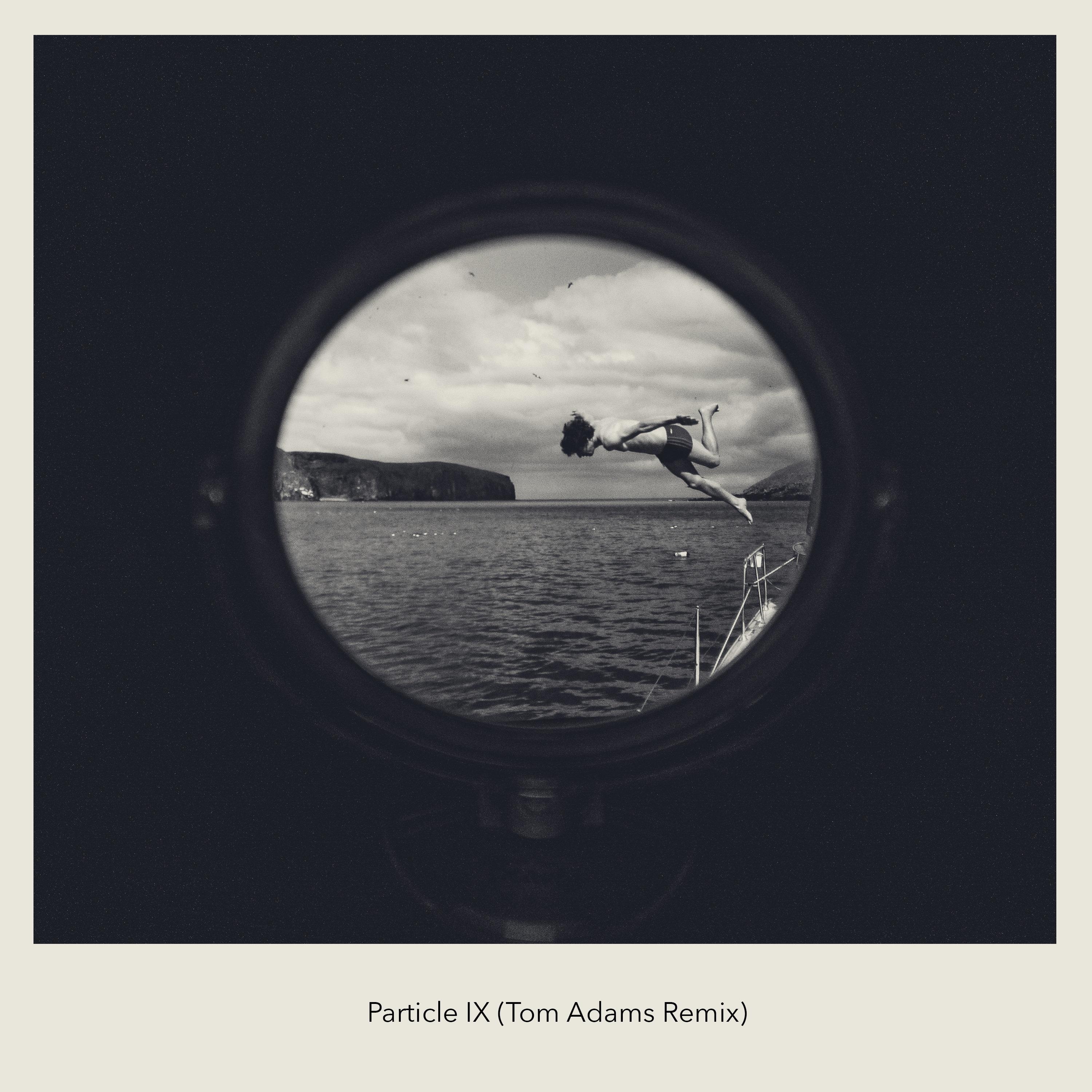 Particle IX (Tom Adams Remix)