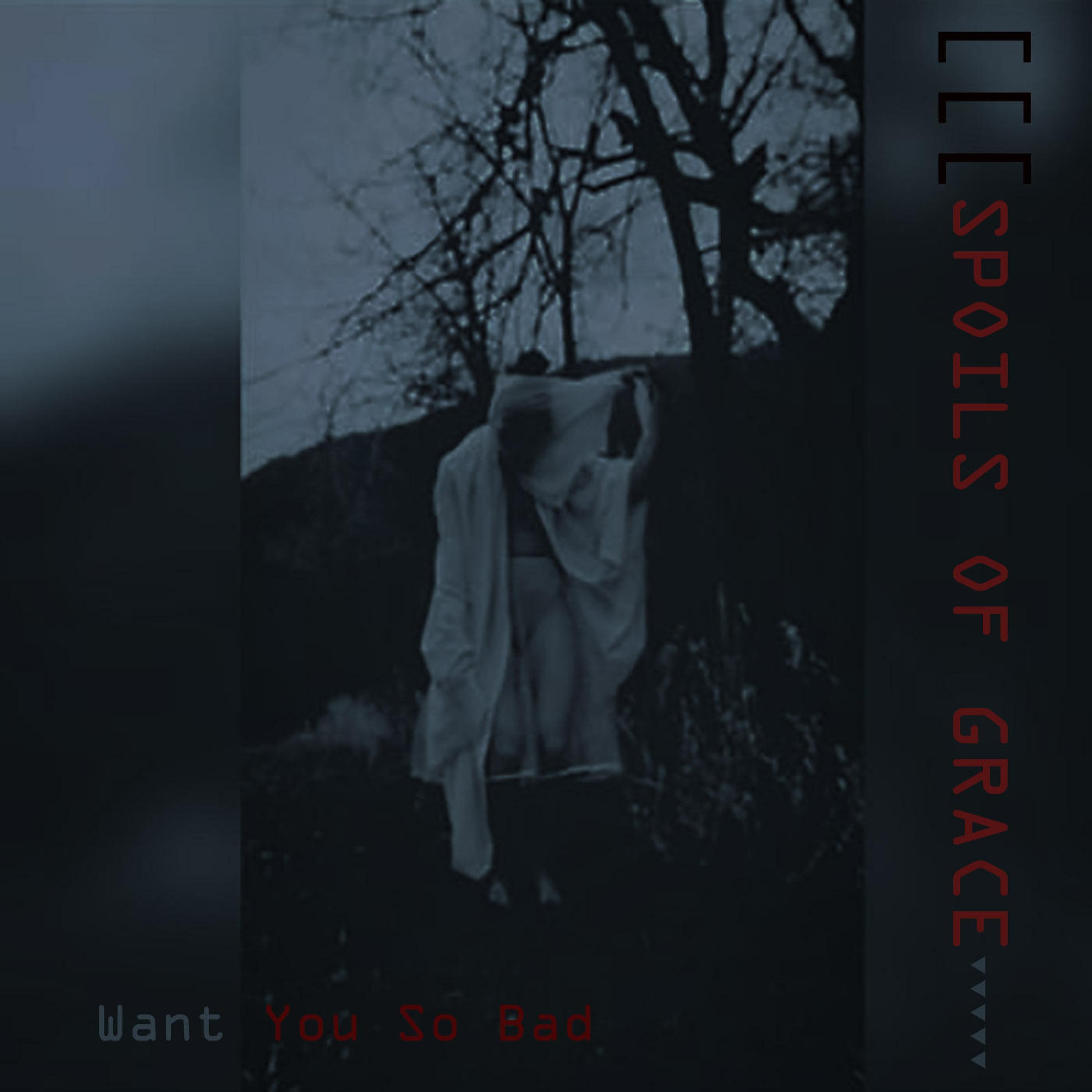 Want You So Bad (feat. Hush Hush)