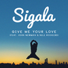Sigala - Give Me Your Love (Andy C Remix)