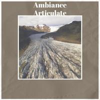 Esin Voley - Instinctual Illuminate