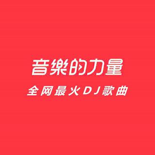 2021年全网最火DJ歌曲