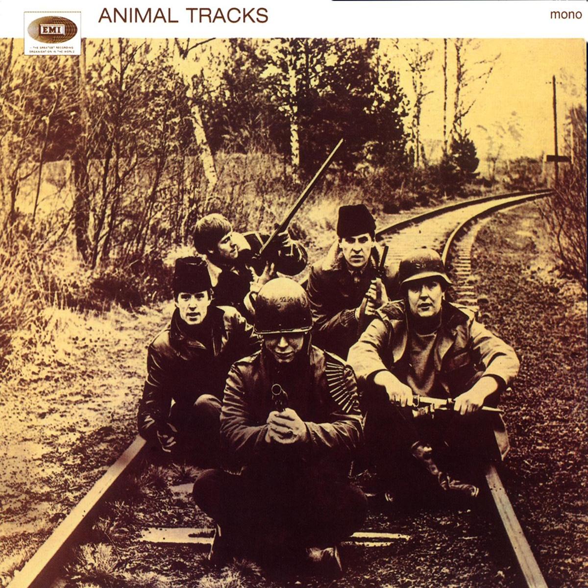 Animal Tracks