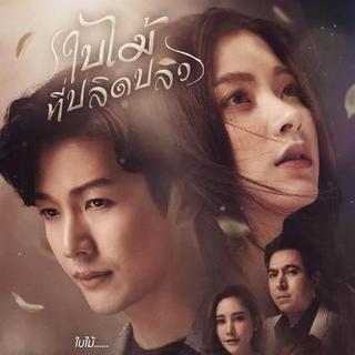 泰剧《吹落的树叶》