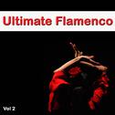 Ultimate Flamenco Vol. 2专辑