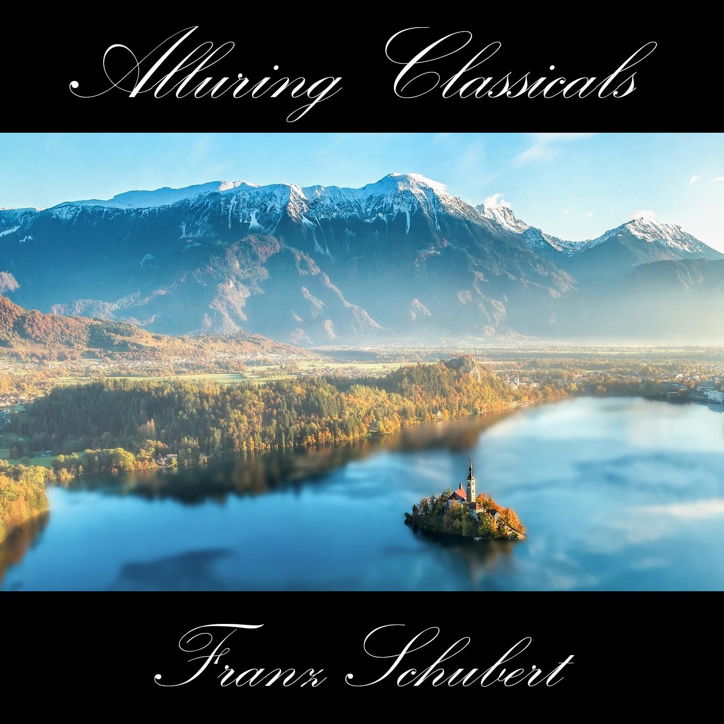 Classically Beautiful Franz Schubert