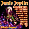 Janis Joplin Live in Concert专辑