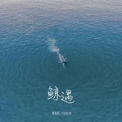 梨冻紧,SORROW《鲸遇吉他谱》D调_旋律缓缓流淌