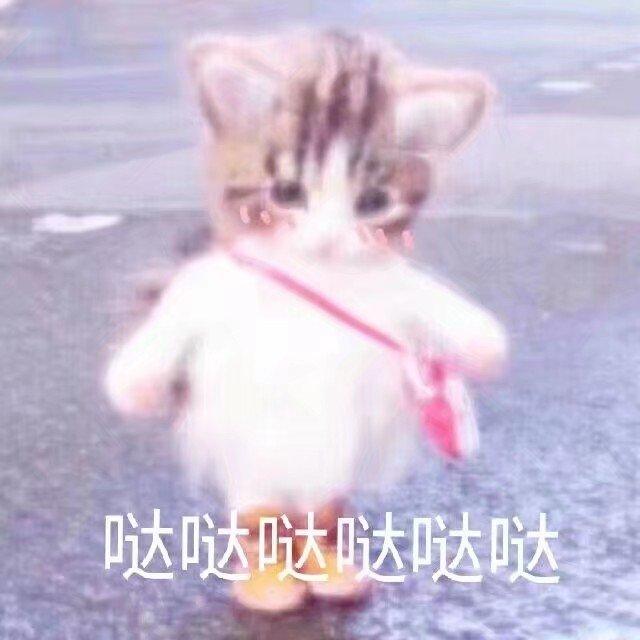 给我亲爱的小可爱们哒 | 治愈系