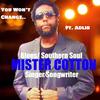 Mister Cotton - You Won't Change (feat. Adlib)