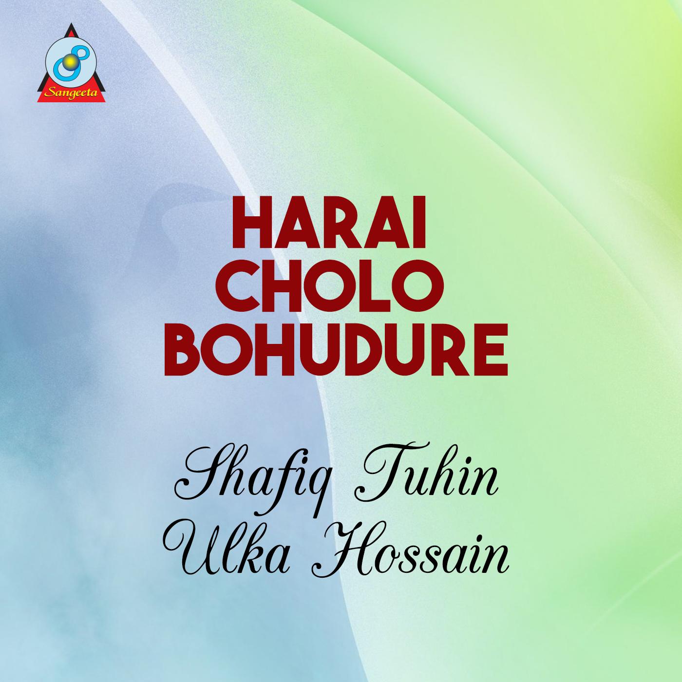 Harai Cholo Bohudure