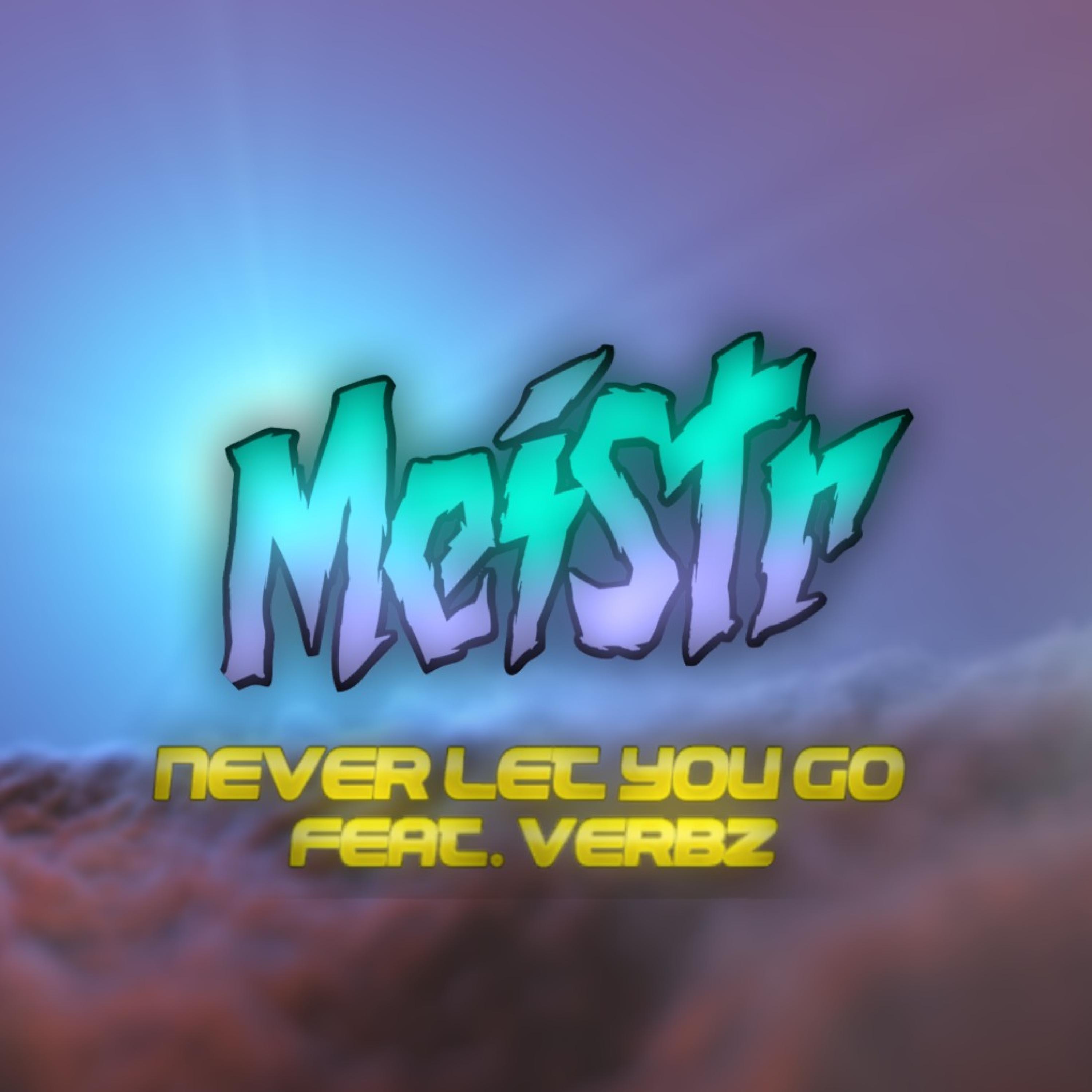 Never Let You Go (feat. Verbz)