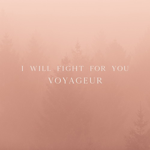 I Will Fight For You专辑