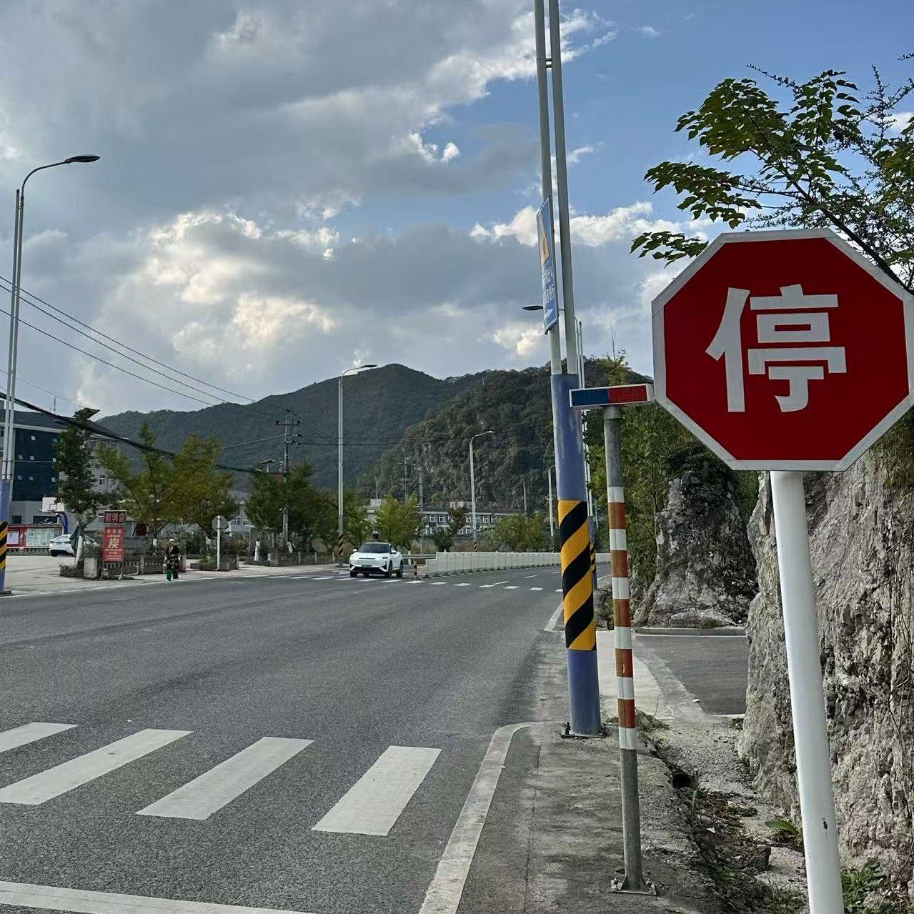 陈雪凝-绿色（人声弱化）（谢智宇 remix）