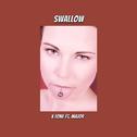 Swallow专辑