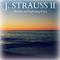 J. Strauss II: Thunder and Lightning Polka专辑