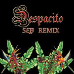 Despacito（SET-B Remix）专辑