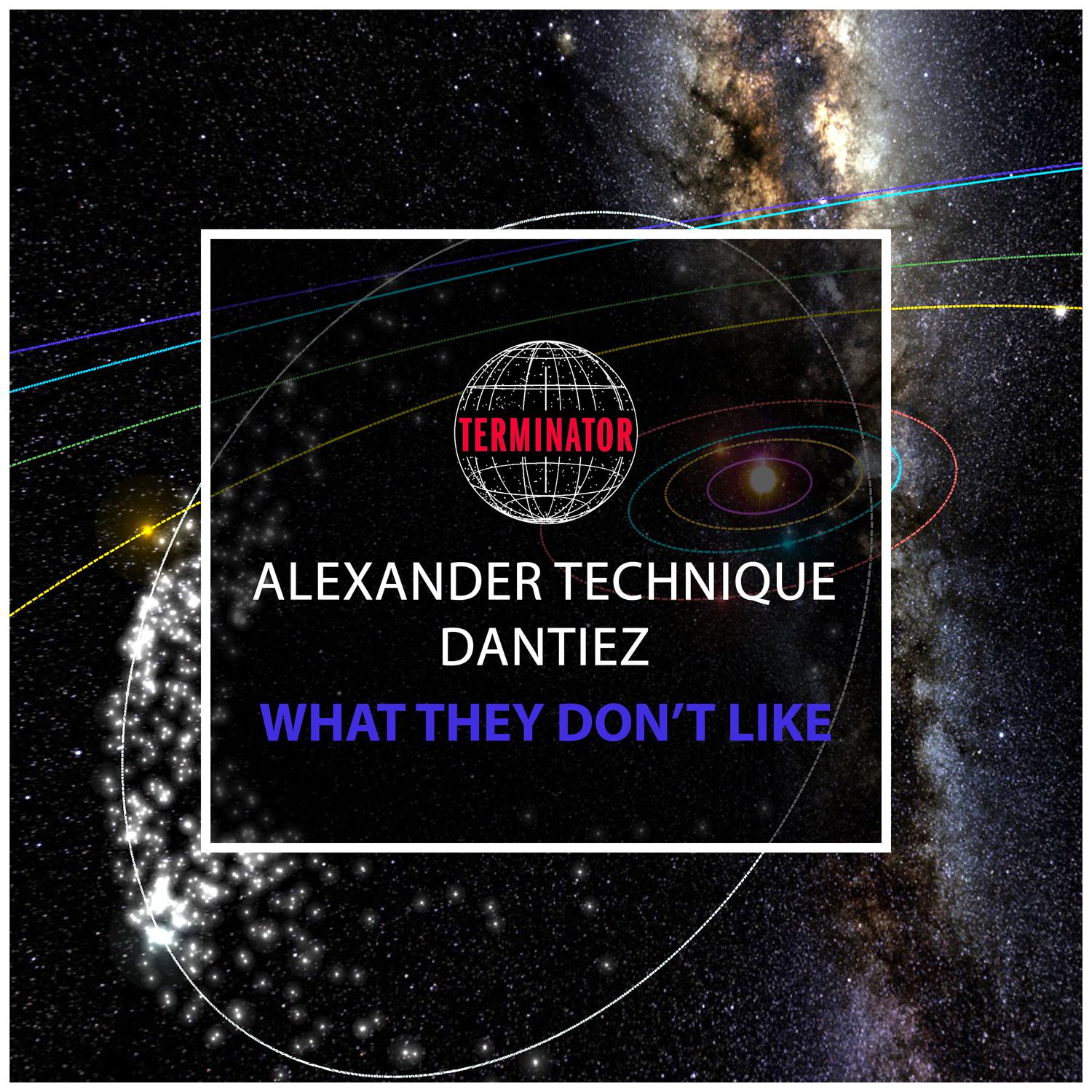 Alexander Technique - What They Don't Like (Extended Mix)