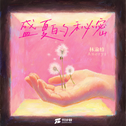 盛夏的秘密专辑
