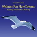 Wellness Pan Flute Dreams: Relaxing Melodies for Dreaming