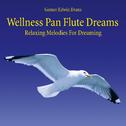 Wellness Pan Flute Dreams: Relaxing Melodies for Dreaming专辑