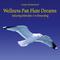 Wellness Pan Flute Dreams: Relaxing Melodies for Dreaming专辑
