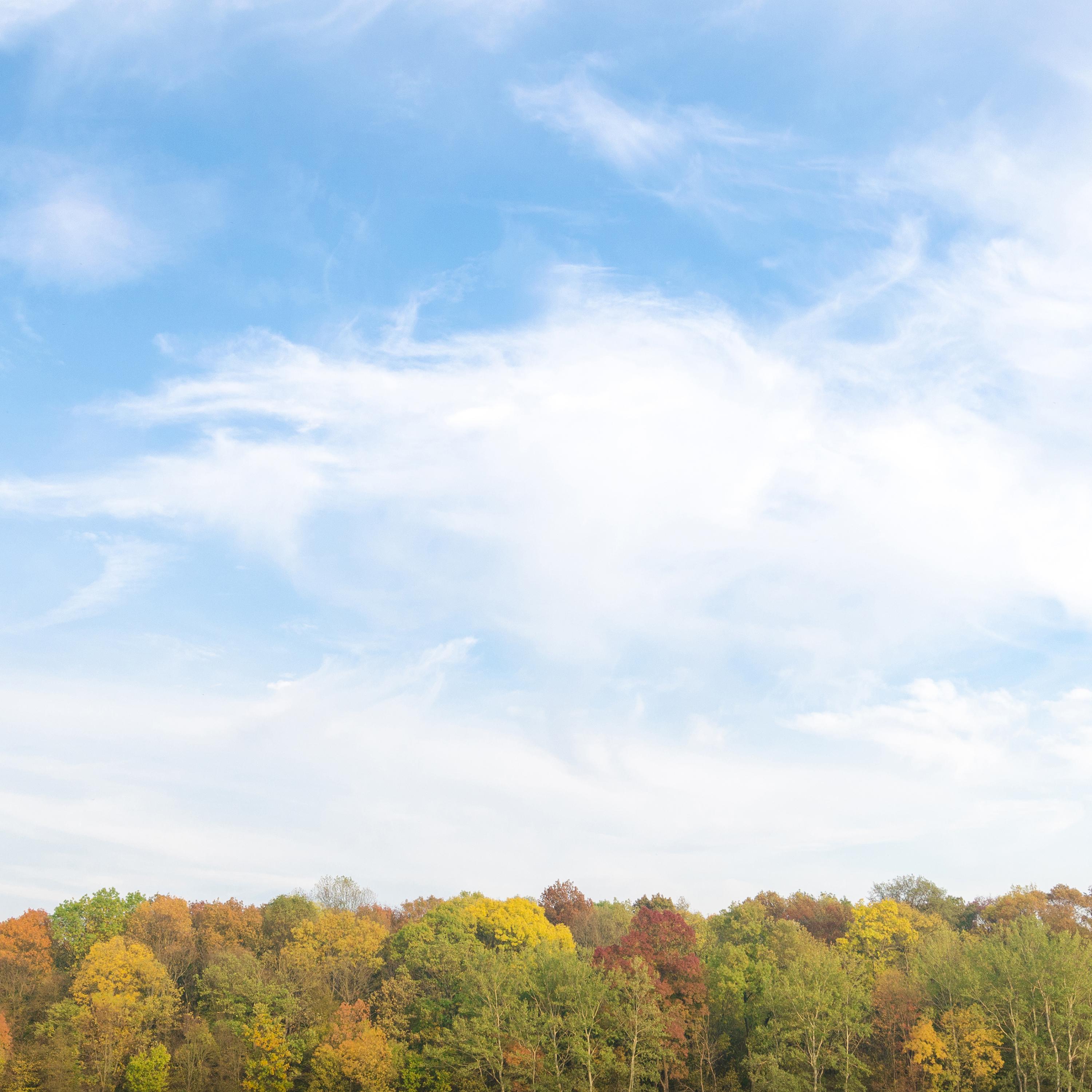 Calming Spring Therapy