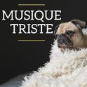 Musique Triste专辑