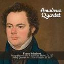 Franz Schubert: String Quartet No. 8 In B Flat Major, D. 112 / String Quartet No. 15 In G Major, D. 专辑