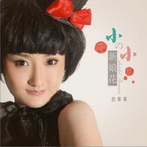 168云菲菲-小小新娘花-DJ何鹏(伴奏