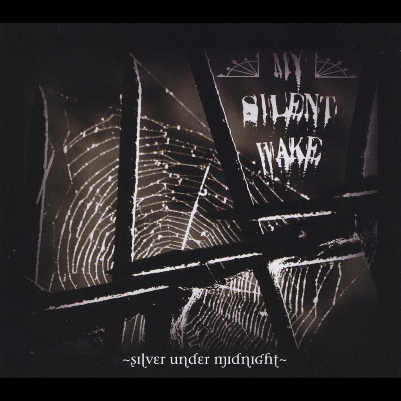 Silver Under Midnight
