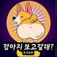 강아지 보고갈래?