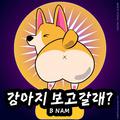 강아지 보고갈래?