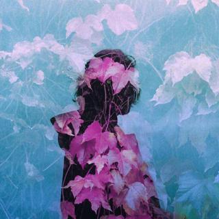 同名异曲|| 误入桃花源 沉醉不知归路