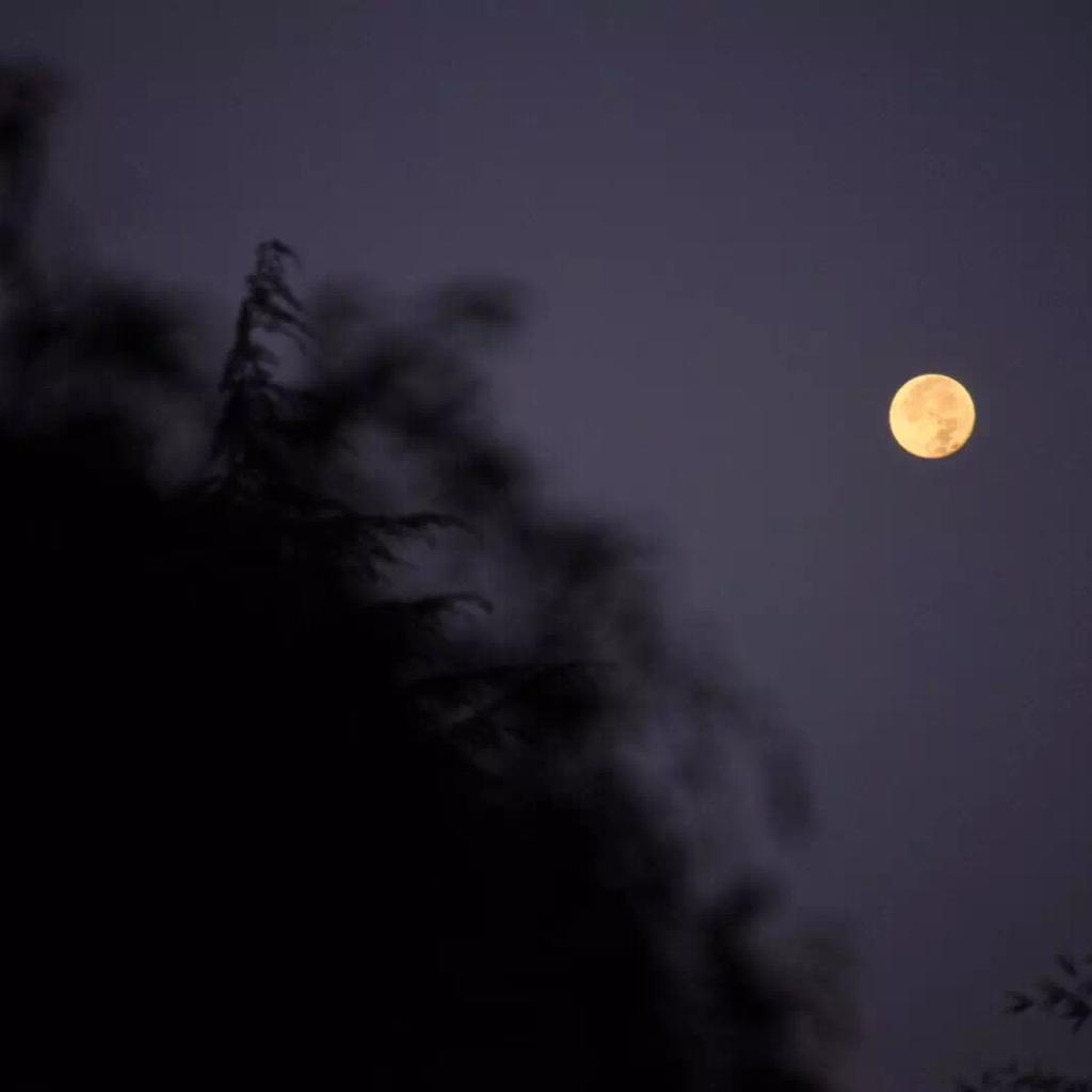 地球上所有夜晚²⁰²⁰ ₀₁. ₀₂. ₀₃