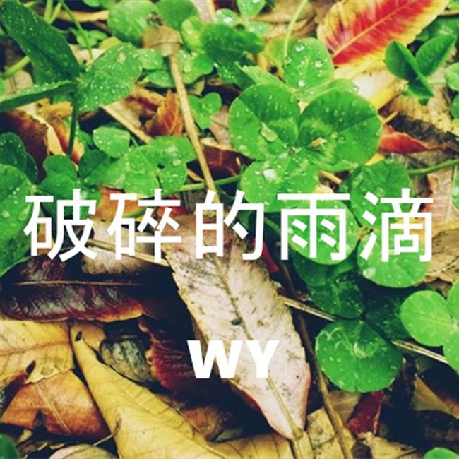 破碎的雨滴专辑