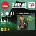 Schubert / Liszt: Sonates - Gilels专辑