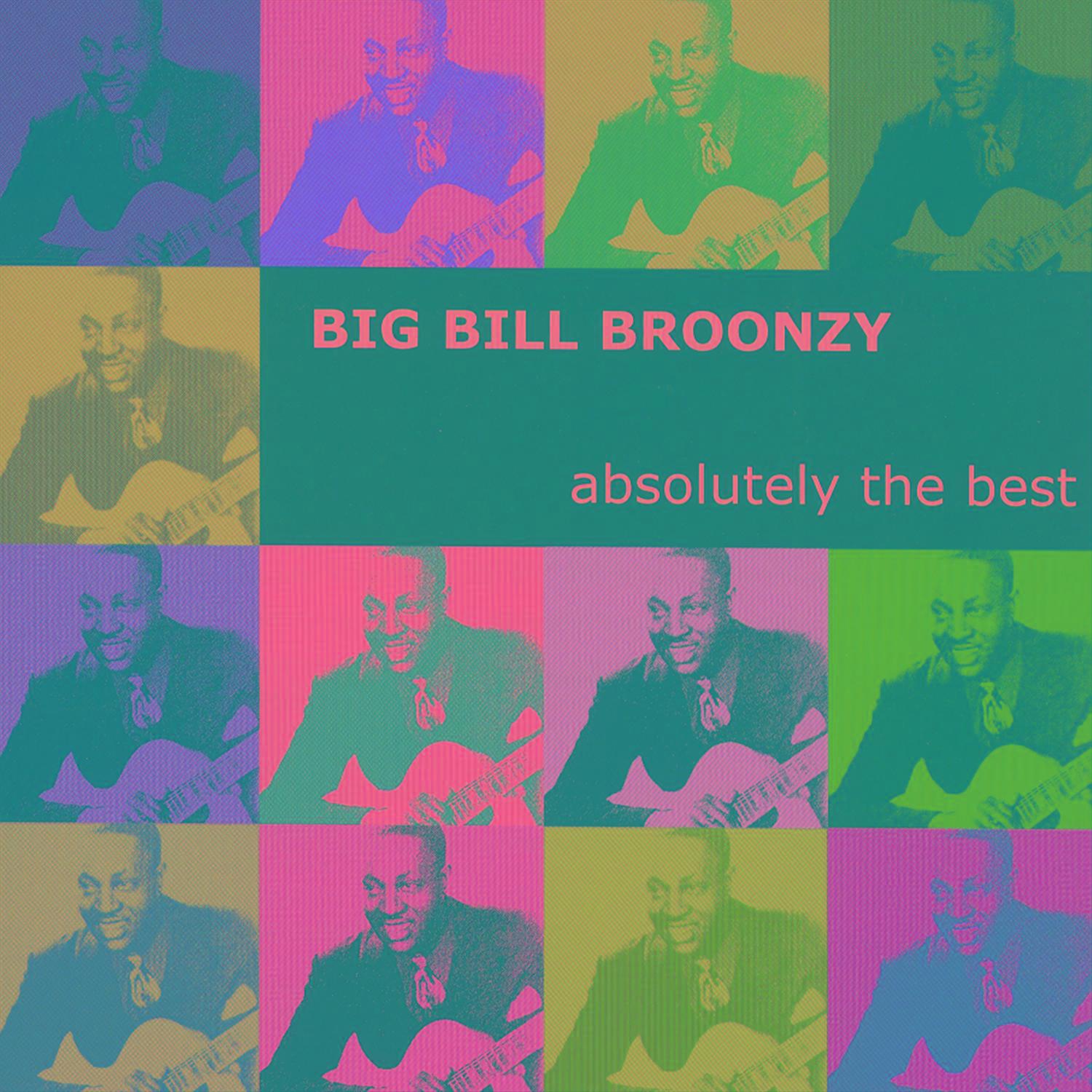 Absolutely The Best: Big Bill Broonzy